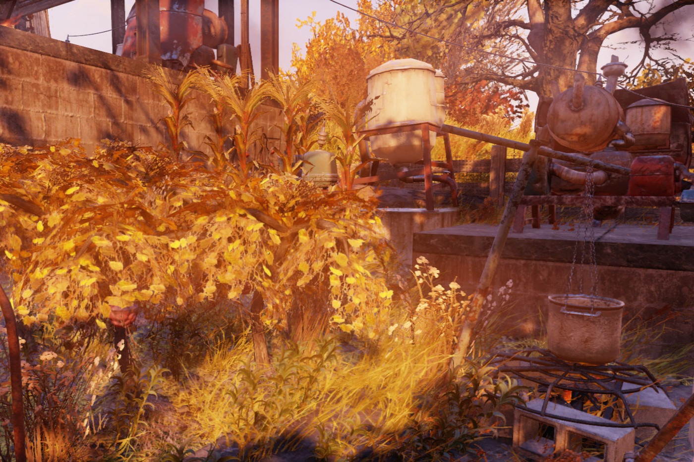 Fallout 4 Wild Plants